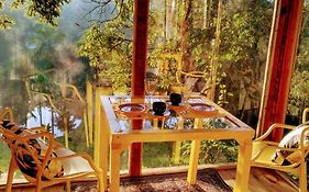 Casa de Vidro com cachoeira